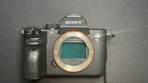 Sony Mirrorless Interchangeable Lips 7