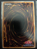 Yu -Gi -Oh! Ocg Duel Monsters 25Th