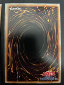 Yu -Gi -Oh! Ocg Duel Monsters 25Th