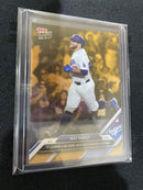 Mlb Max Muncy Dodgers 2024