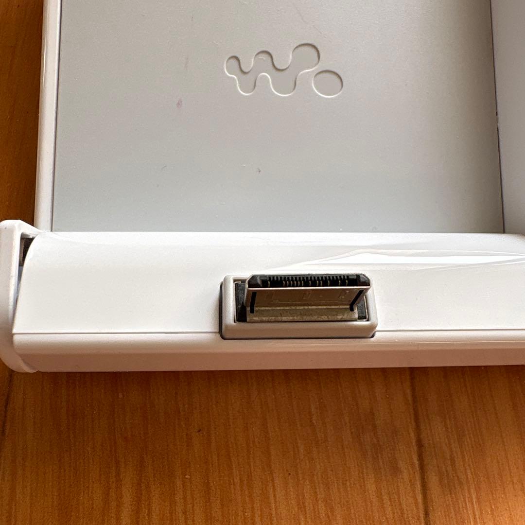 Sony Other Rdp-Nwl100(W)