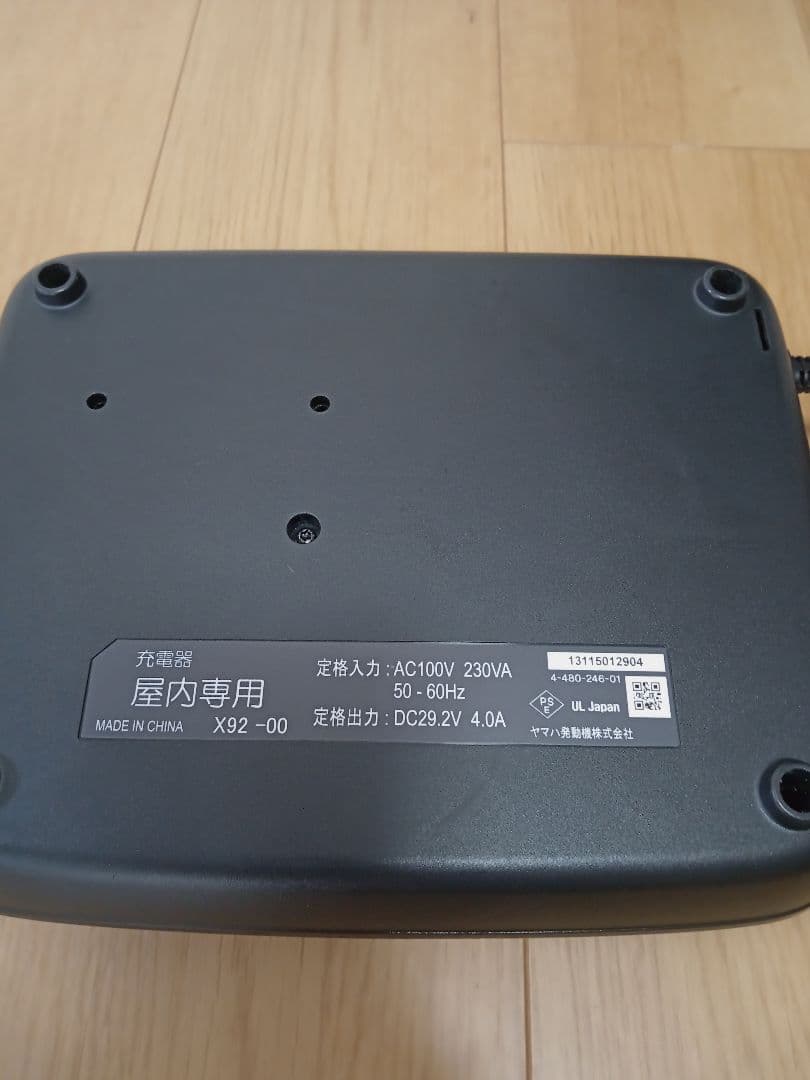 Yamaha Chargers
