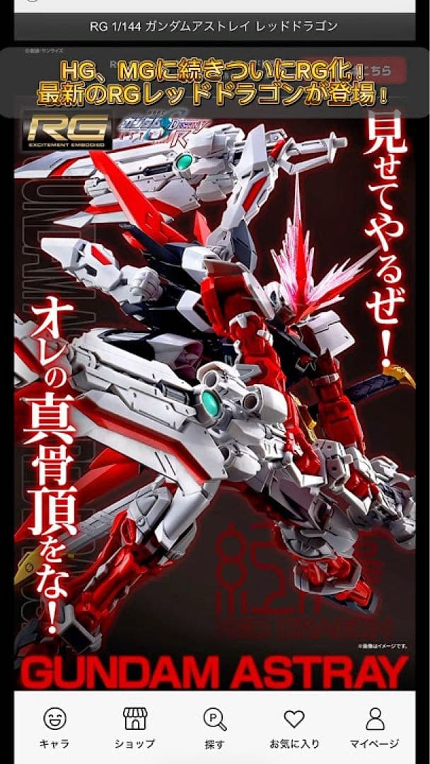 Premium Bandai Rg (Real Grade)