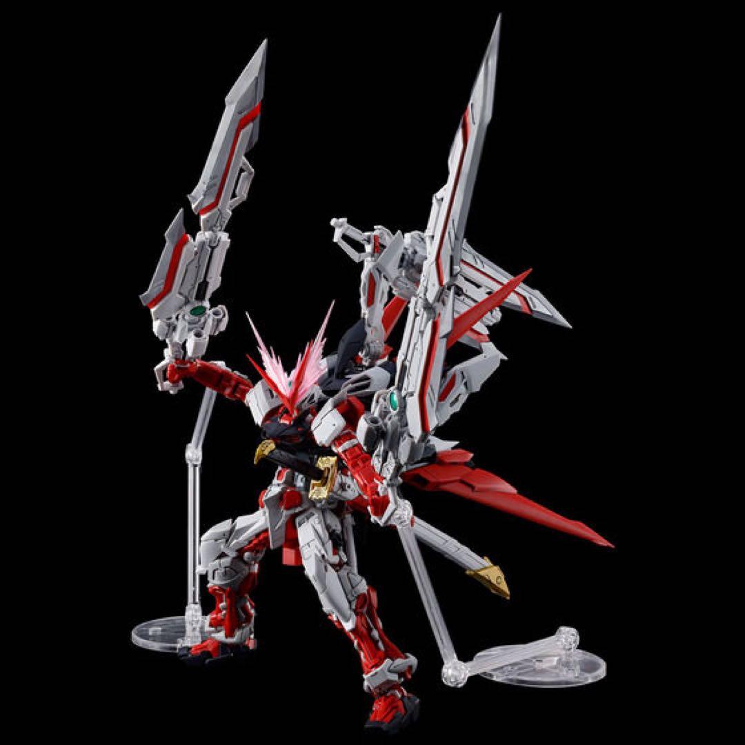 Premium Bandai Rg (Real Grade)