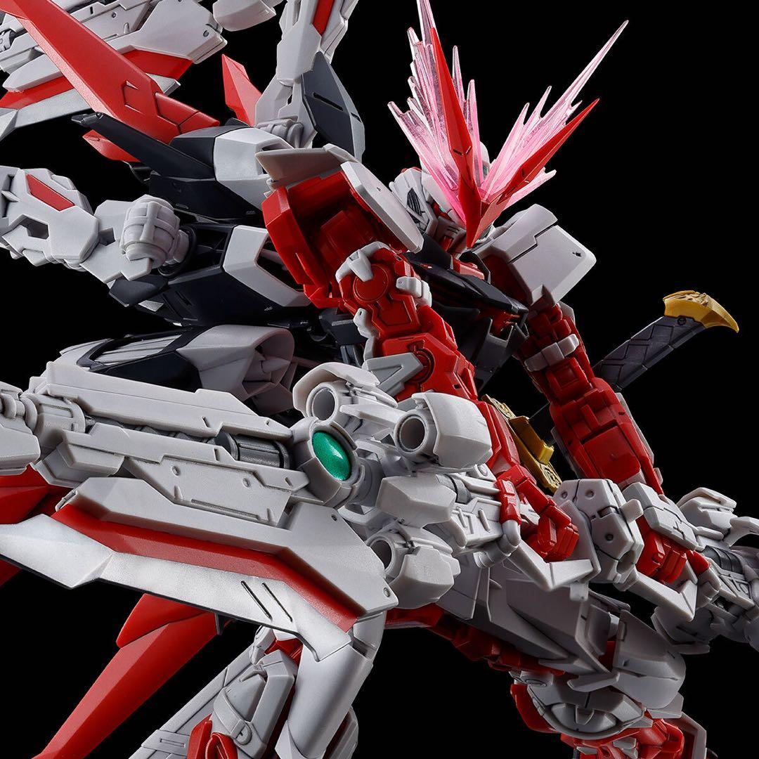 Premium Bandai Rg (Real Grade)