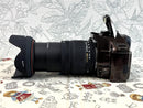 Pentax Digital Slrs K-