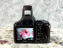 Pentax Digital Slrs K-