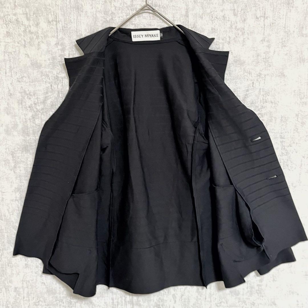 Issey Miyake Tailored Jacket
