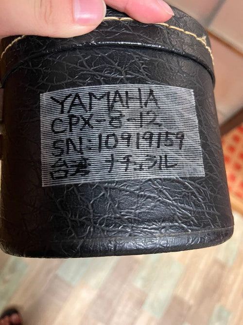Yamaha Acoustic Guitars Compass Series Cpx8-12 12