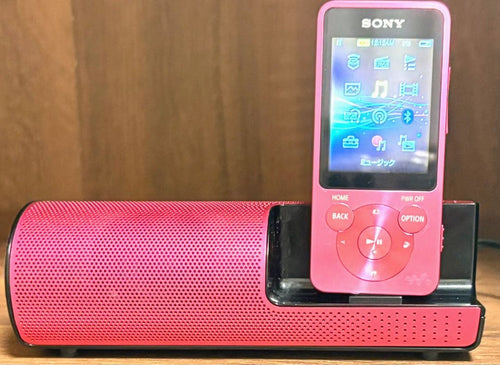 Sony Digital Audio Player Nw-S510 Walkman