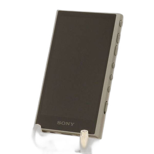 Sony Digital Audio Player Walkman A300 32Gb+Microsd Nw-A306 352