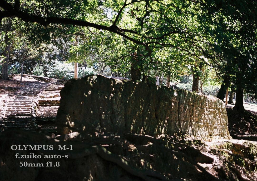 Olympus Slr Camera (Film) M-1 Om-1 &M F1.8