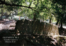 Olympus Slr Camera (Film) M-1 Om-1 &M F1.8