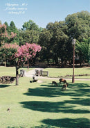 Olympus Slr Camera (Film) M-1 Om-1 &M F1.8
