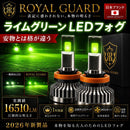 Lights Led H8 H11 H16
