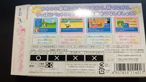 Soft Gba 3