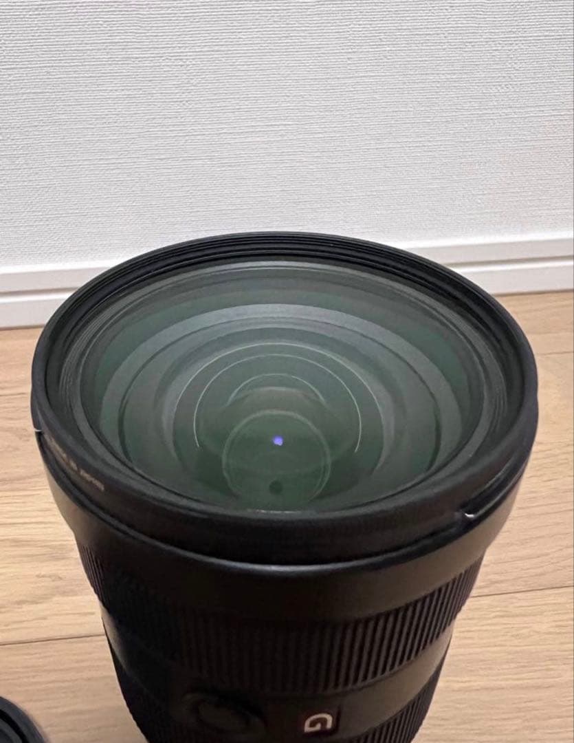Sony Zoom Lenses Fe 24-70Mm F2.8 Gm