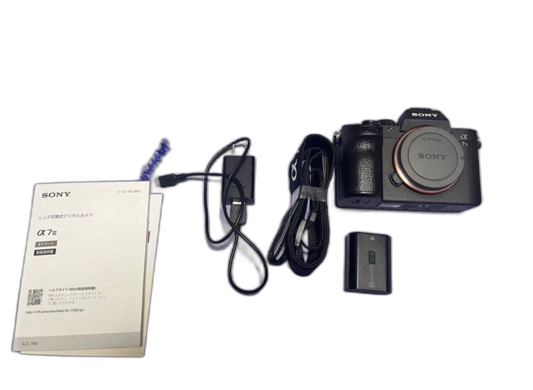 Sony Mirrorless Interchangeable Lips 7 Iii