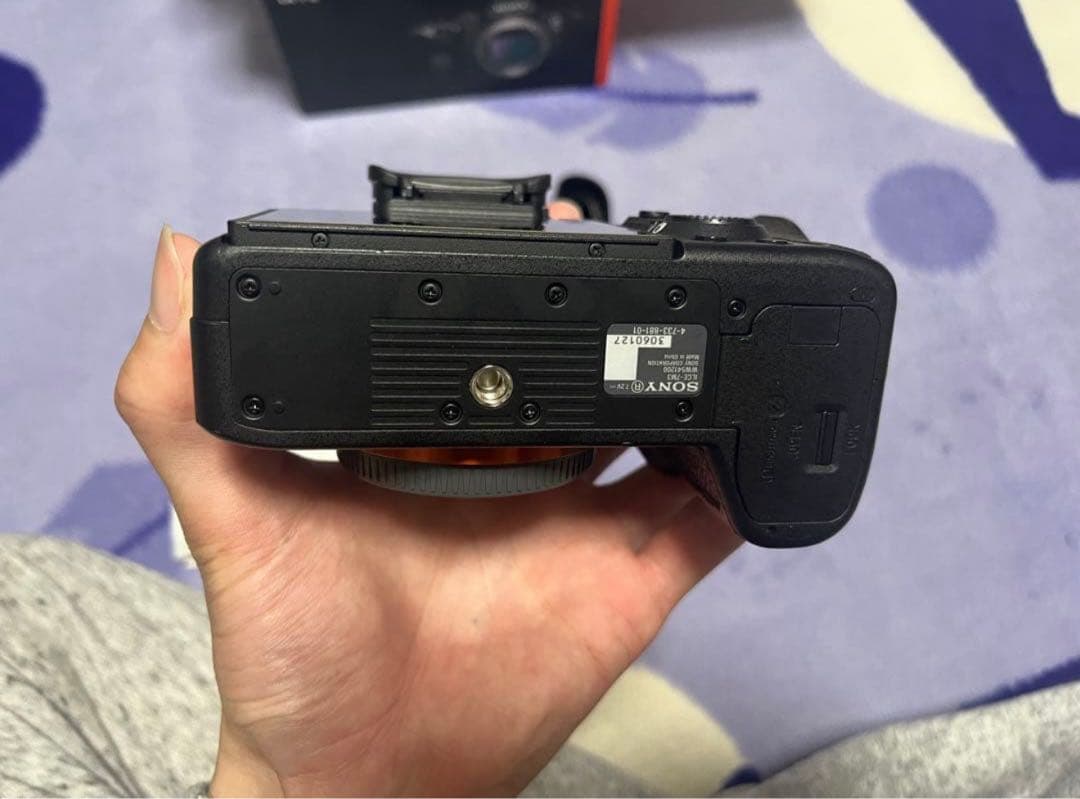 Sony Mirrorless Interchangeable Lips 7 Iii