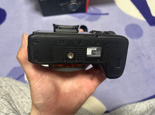 Sony Mirrorless Interchangeable Lips 7 Iii