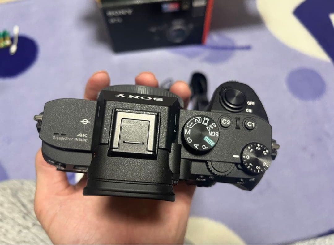 Sony Mirrorless Interchangeable Lips 7 Iii
