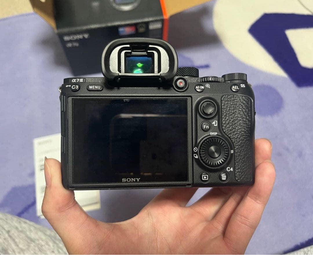 Sony Mirrorless Interchangeable Lips 7 Iii