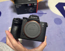 Sony Mirrorless Interchangeable Lips 7 Iii