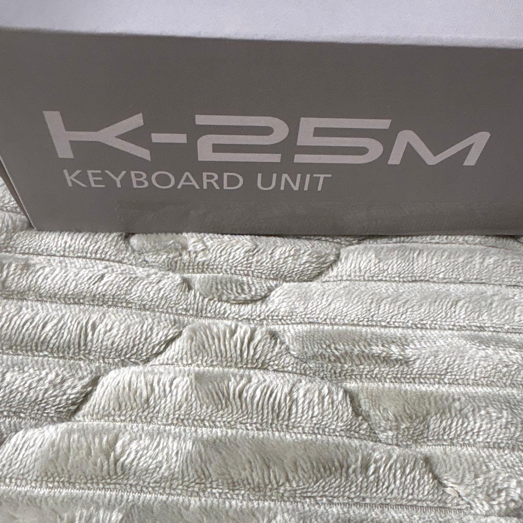 Analog Synthesizer Roland K-25M Ju-06