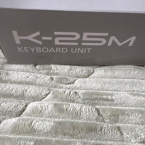 Analog Synthesizer Roland K-25M Ju-06
