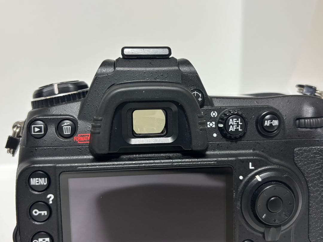 Digital Slr Nikon D300S