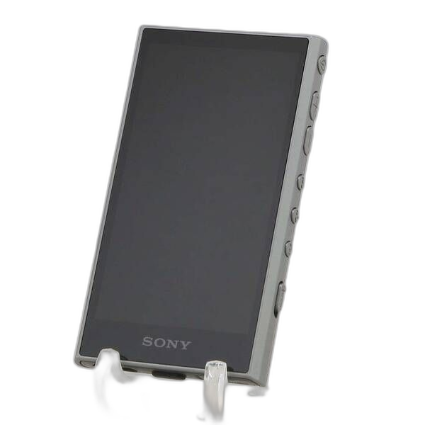 Sony Digital Audio Player Walkman A300 32Gb+Microsd Nw-A306 198