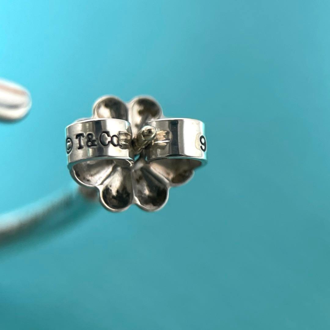 Tiffany Earrings (Pairs) Tiffany&Co. 925
