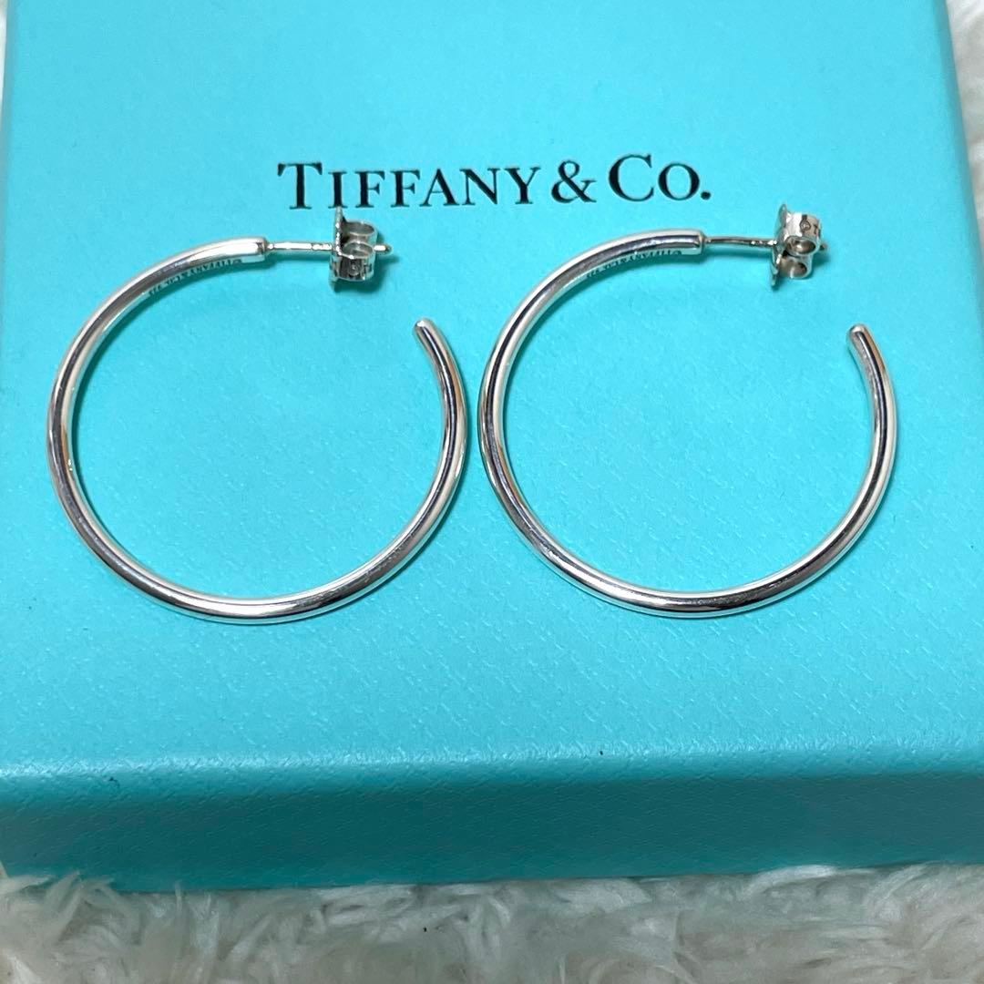 Tiffany Earrings (Pairs) Tiffany&Co. 925