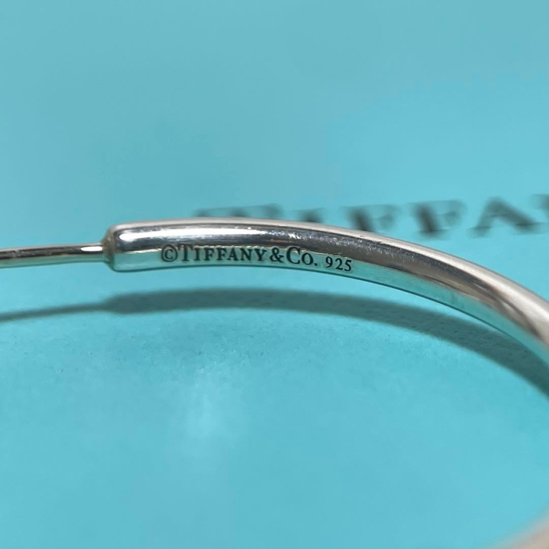 Tiffany Earrings (Pairs) Tiffany&Co. 925