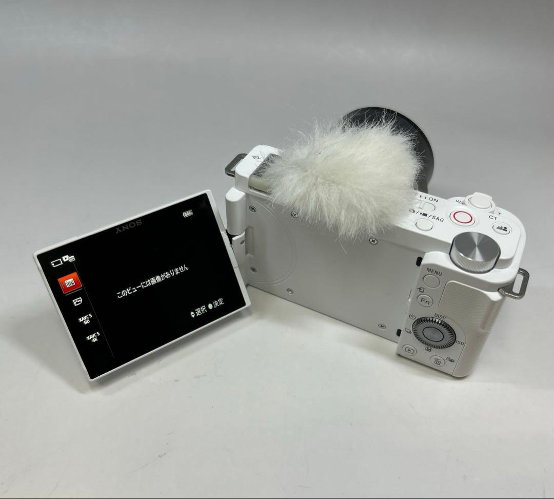 Sony Mirrorless Interchangeable Lens Cameras Zv-E10