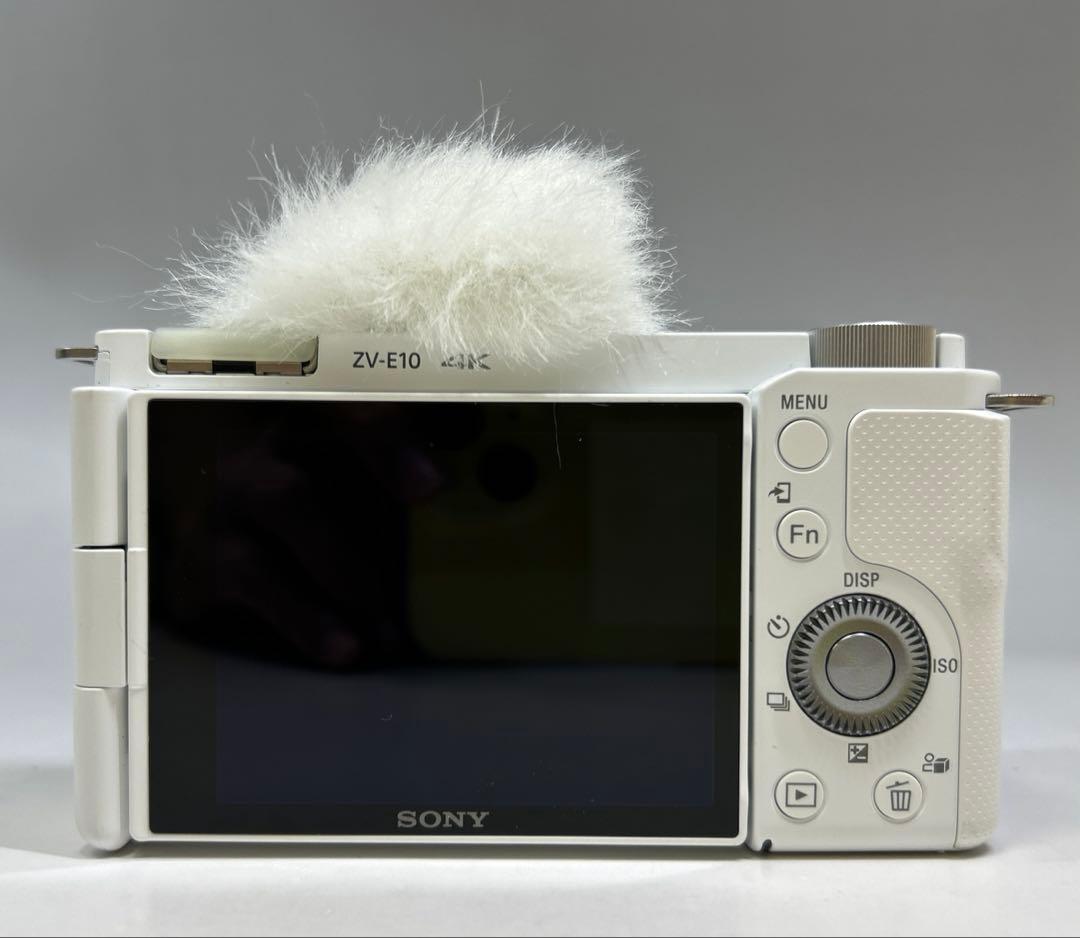 Sony Mirrorless Interchangeable Lens Cameras Zv-E10