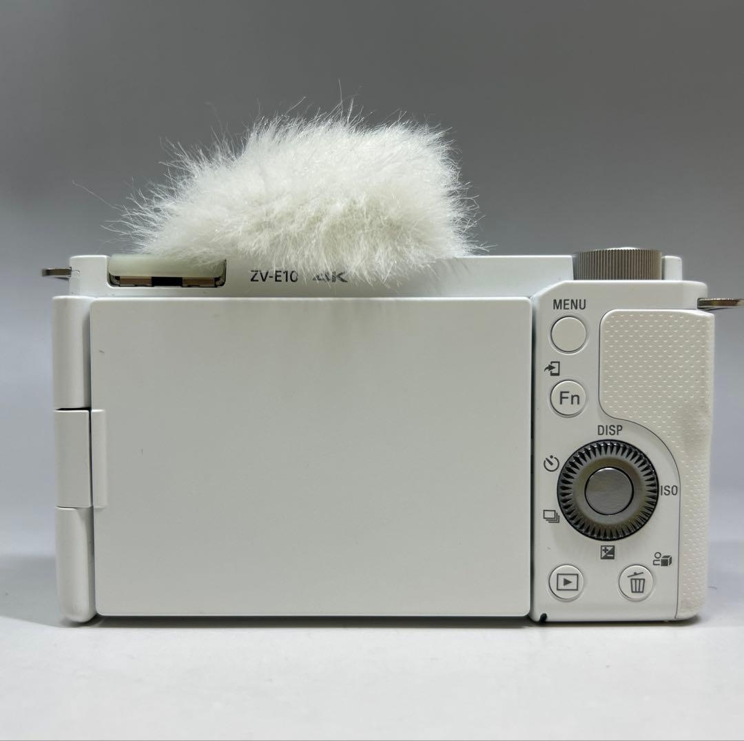 Sony Mirrorless Interchangeable Lens Cameras Zv-E10