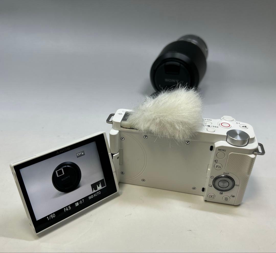 Sony Mirrorless Interchangeable Lens Cameras Zv-E10