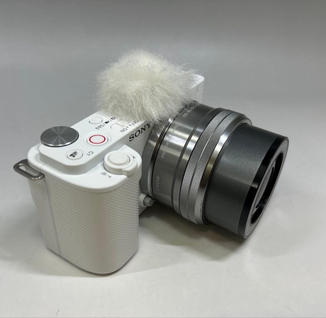 Sony Mirrorless Interchangeable Lens Cameras Zv-E10