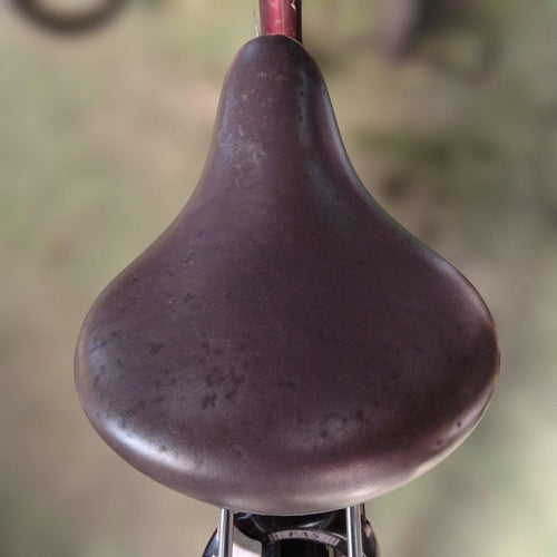 Yamaha City-Style Bicycles [860] Pas Natura