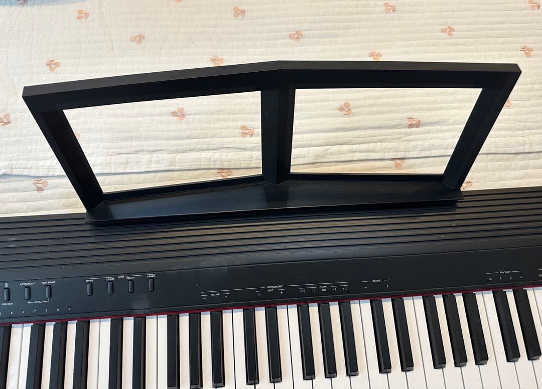 Roland Keyboard Electronic Piano