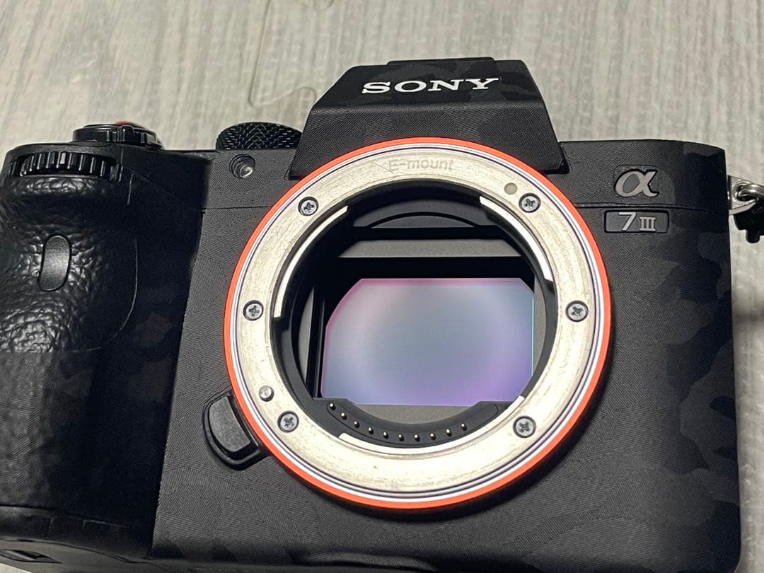 Sony Mirrorless Interchangeable Lens Cameras 7 Iii