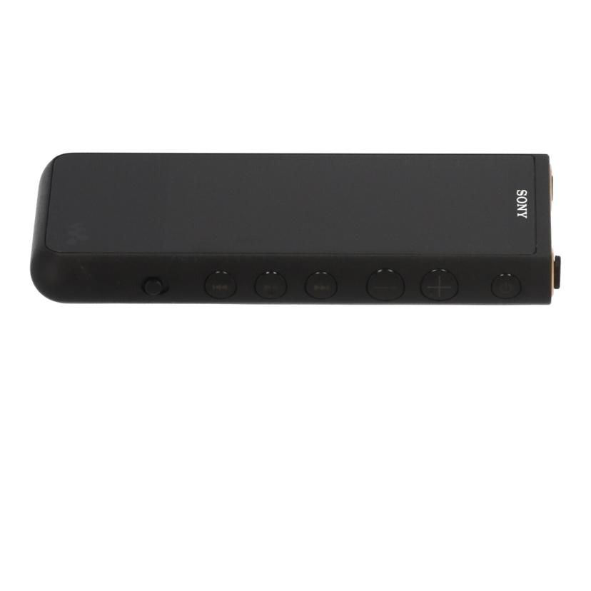 Sony Digital Audio Player /Nw Zx500 Nw-Zx507 B 18