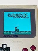 Gameboy Body (Pocket) Ips