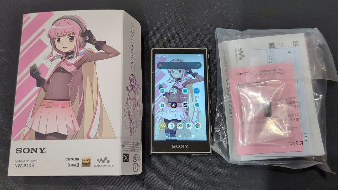 Sony Digital Audio Player Nw-A100