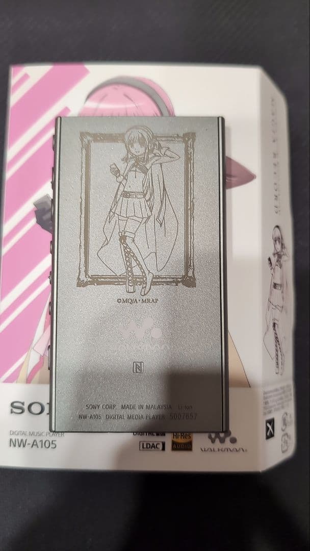 Sony Digital Audio Player Nw-A100