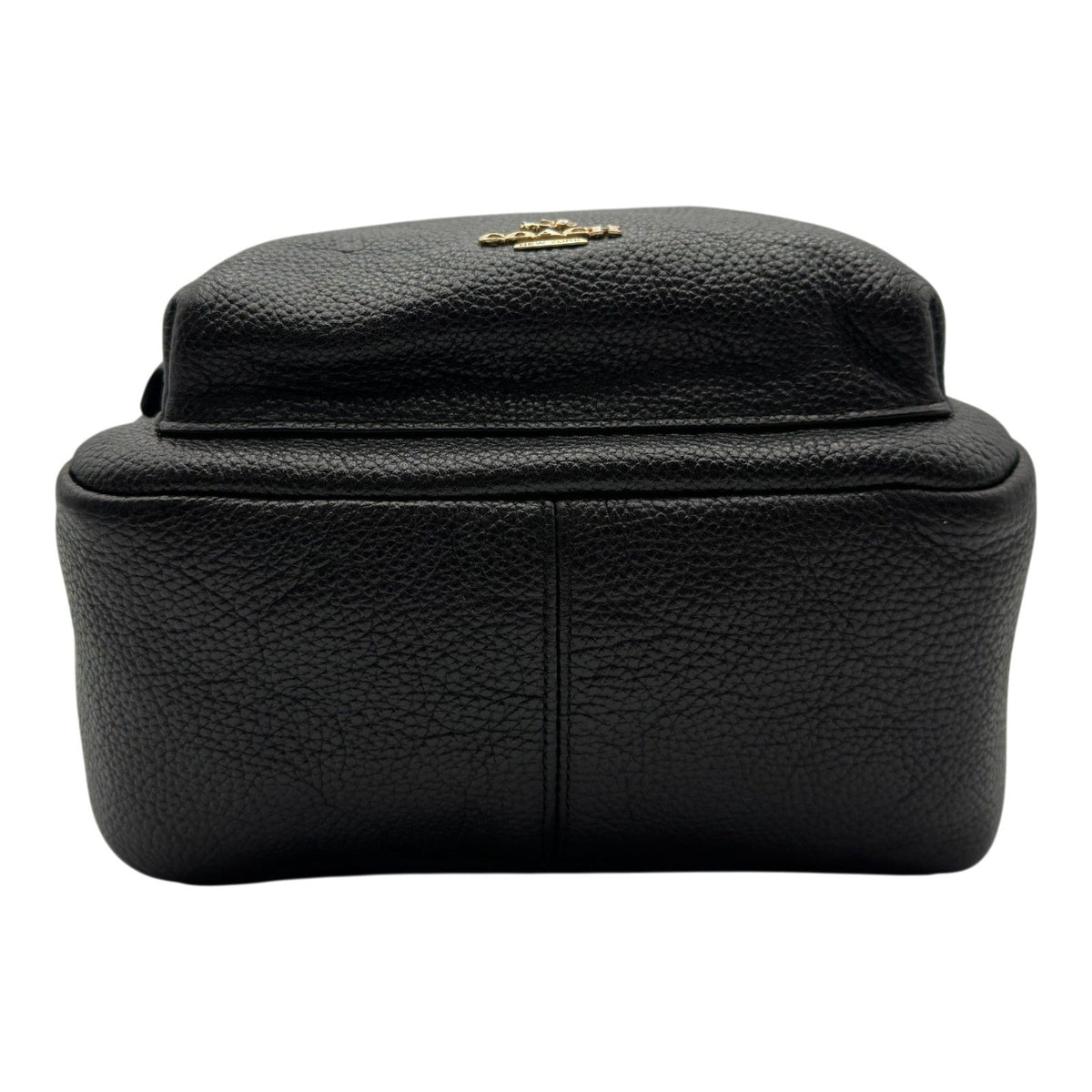 coach f38263 backpack accessories included