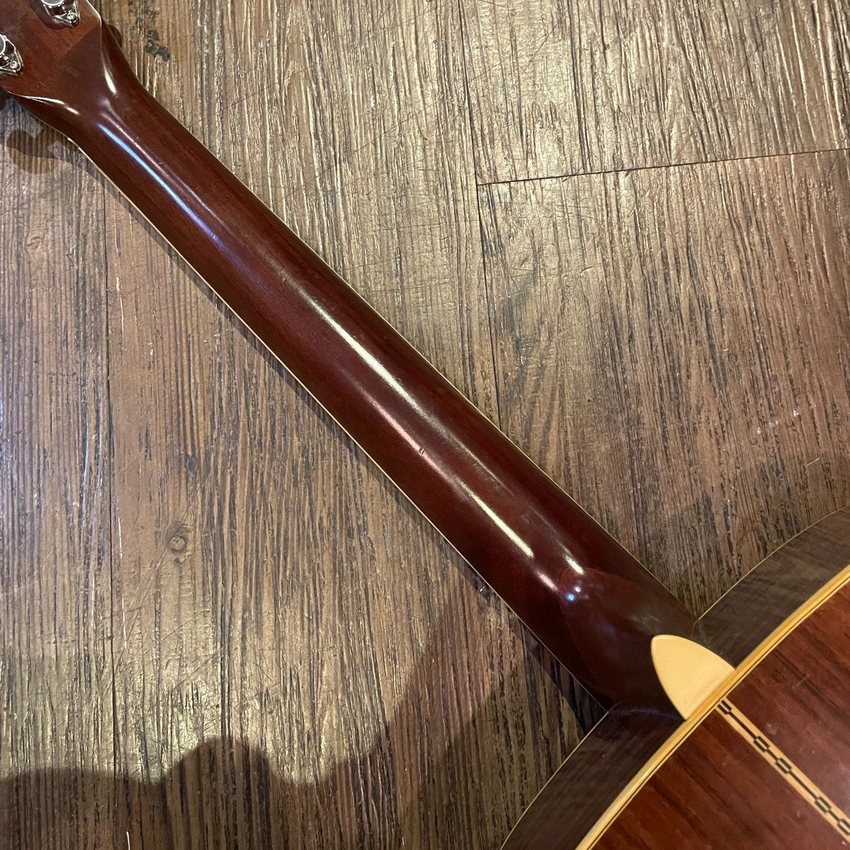 tokai ce-250 acoustic guitar interior details