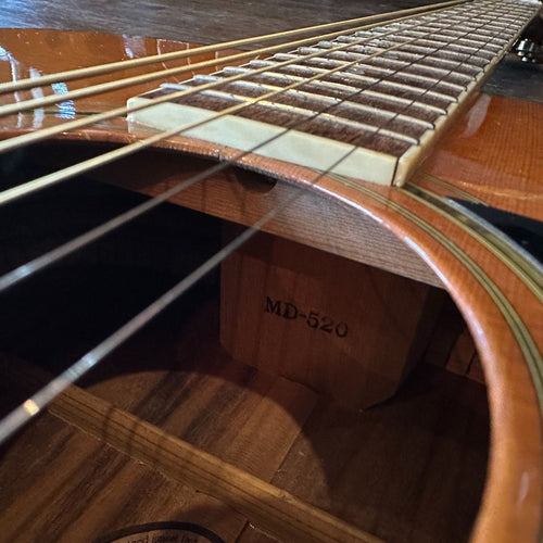 acoustic guitar rear view
