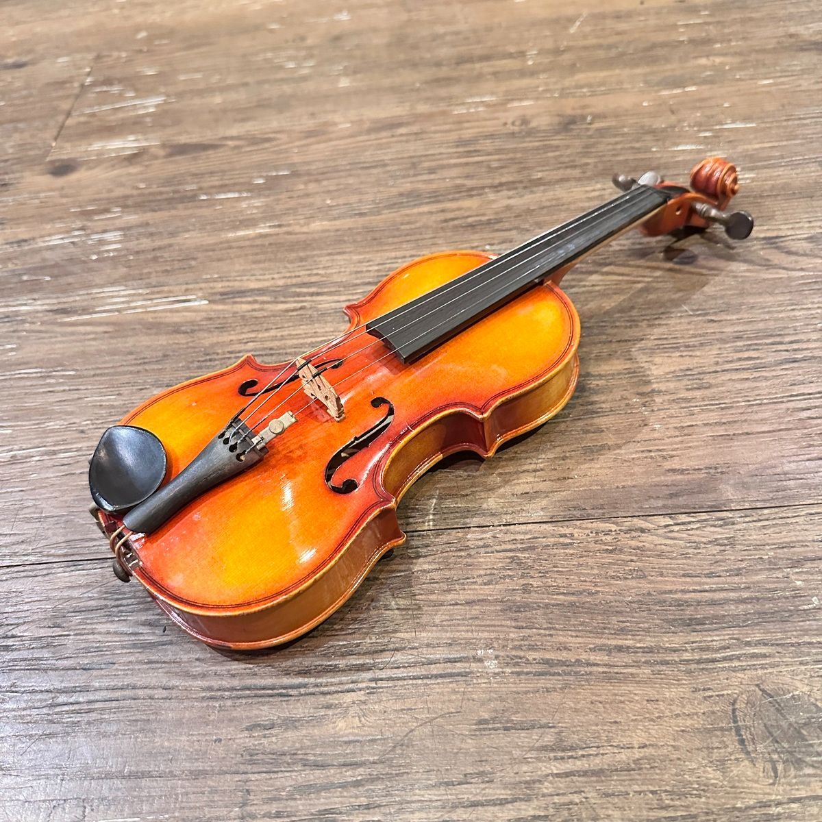 Suzuki String Instrument